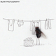 Illustration for article titled The Dead Fly Artwork Of Magnus Muhr